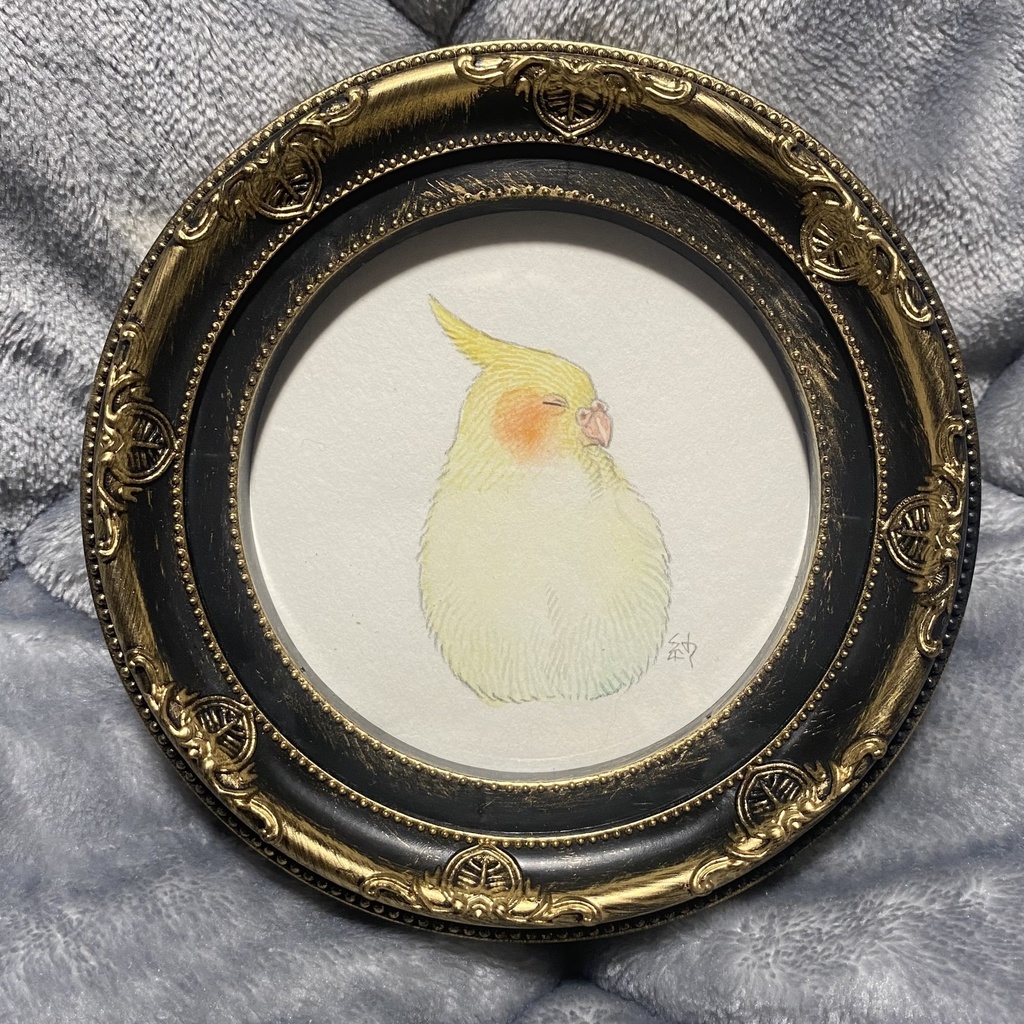 原画「すやすやオカメインコ」
