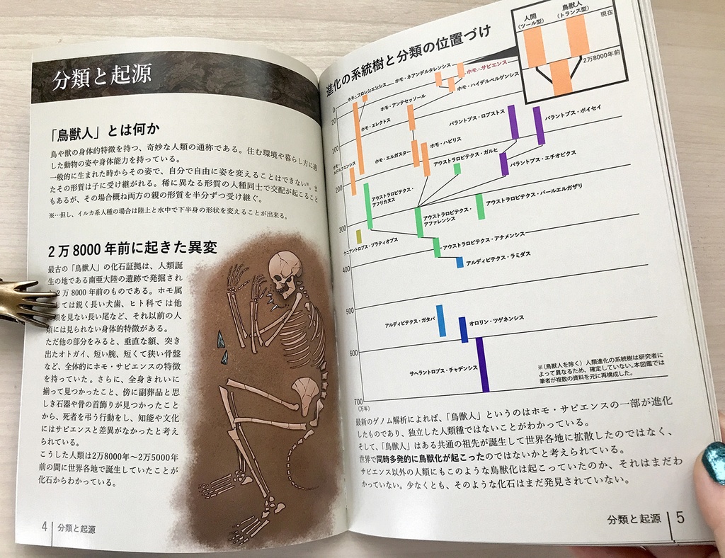 幻想人類図鑑 第2版