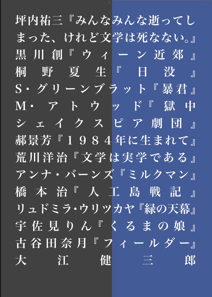 PDF版『その後の仁義なき失われた「文学」を求めて』