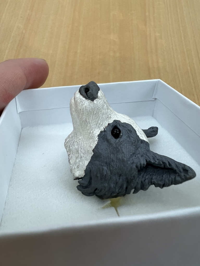 ボーダーコリー お顔リング