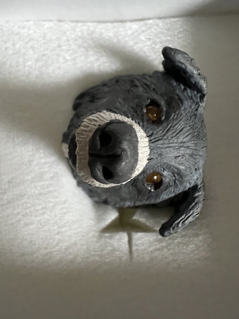 ボーダーコリー お顔リング