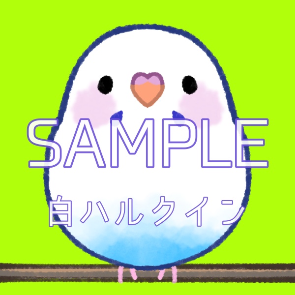 セキセイポップ(タレ目)