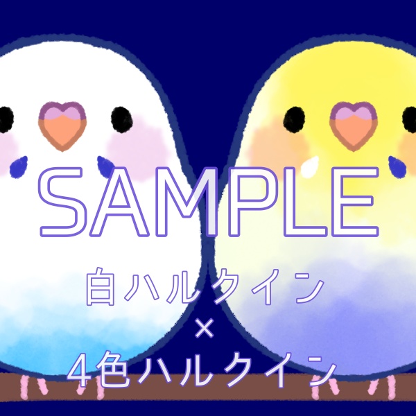 【リクエスト品】セキセイポップ(タレ目)