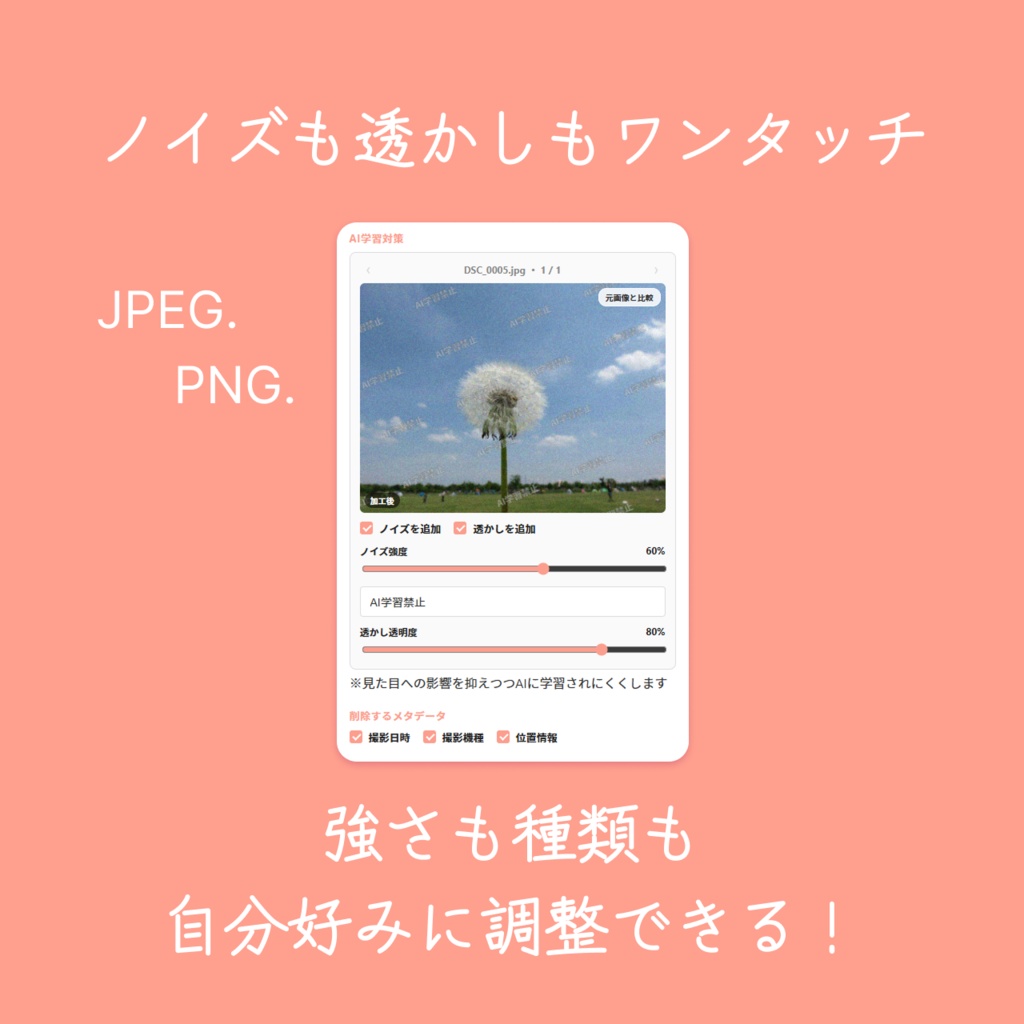 Pictect ピックテクト −その絵、AIから守る−【Windows / mac】