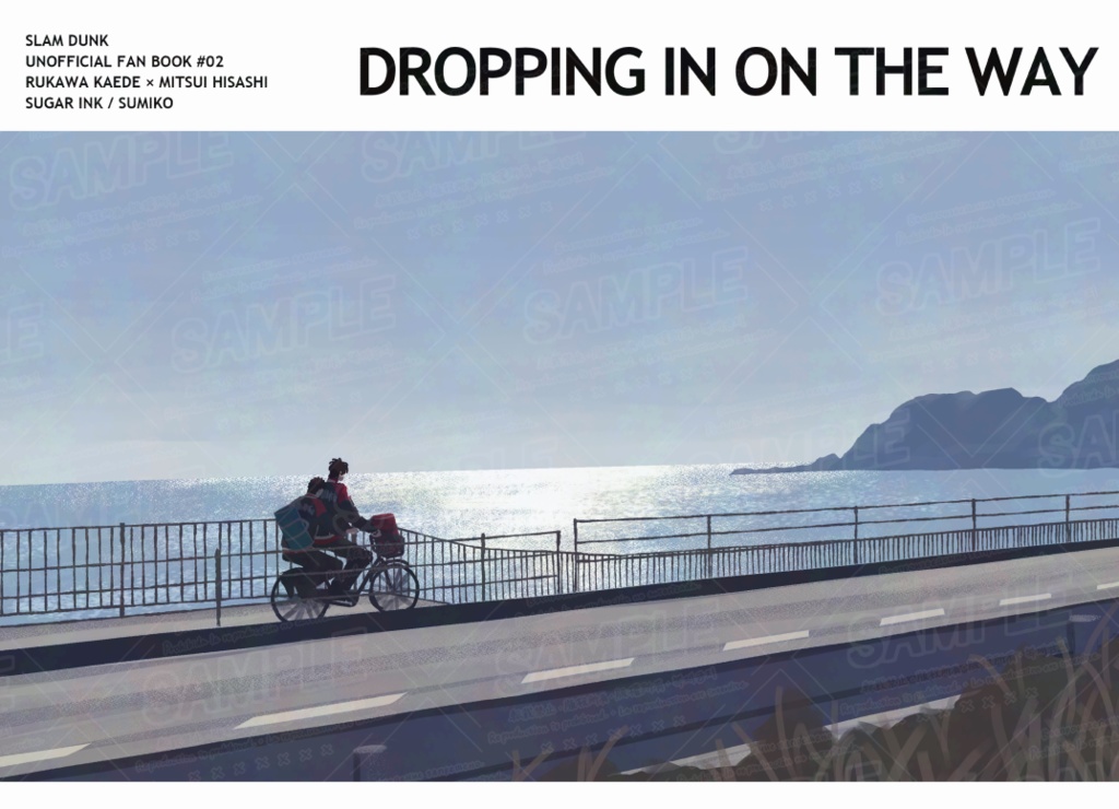 DROPPING IN ON THE WAY