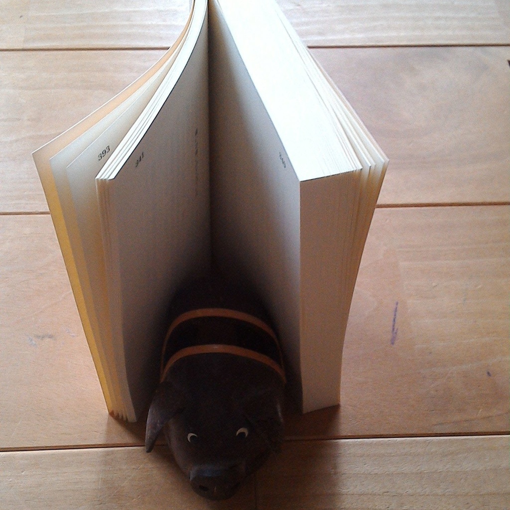 光に焦がれて手を伸ばし 光に届かぬことを知る