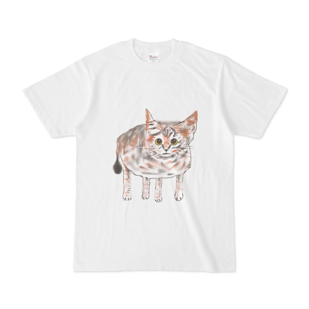 子猫のtシャツ