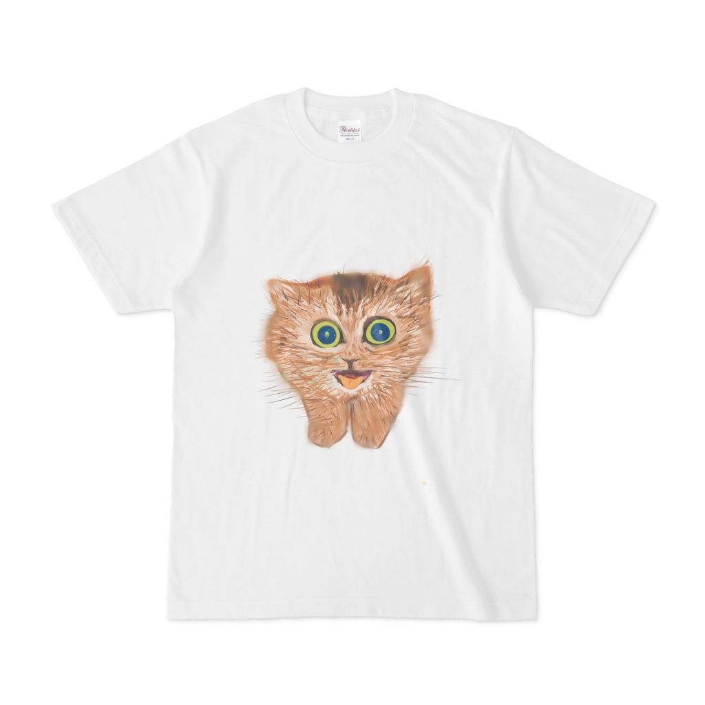 子猫のtシャツ