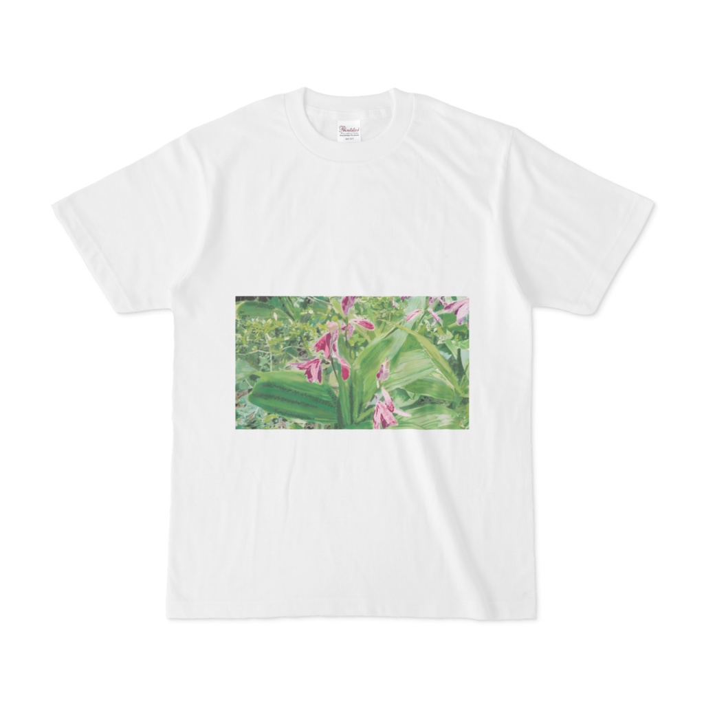 紫蘭のtシャツ