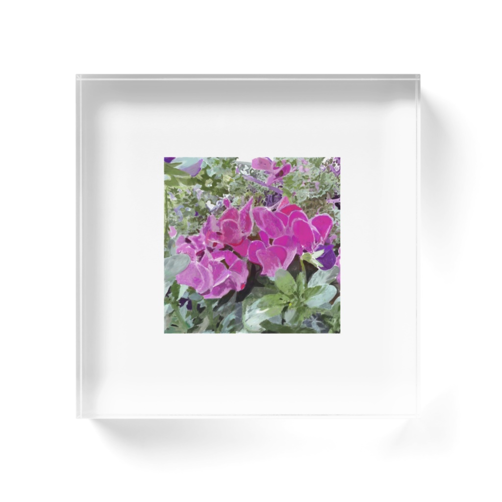 ピンクのシクラメンのアクリルブロック