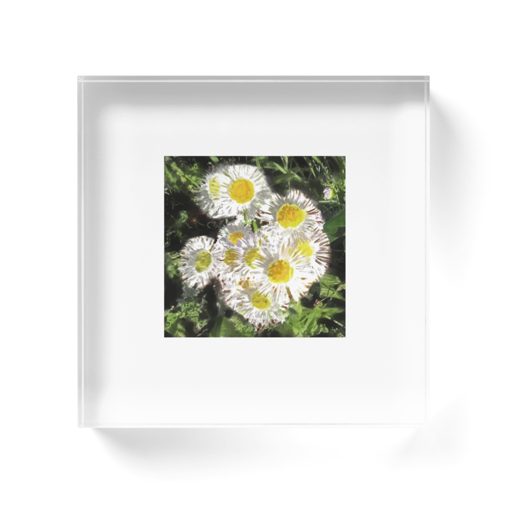 ハルジオンのアクリルブロック