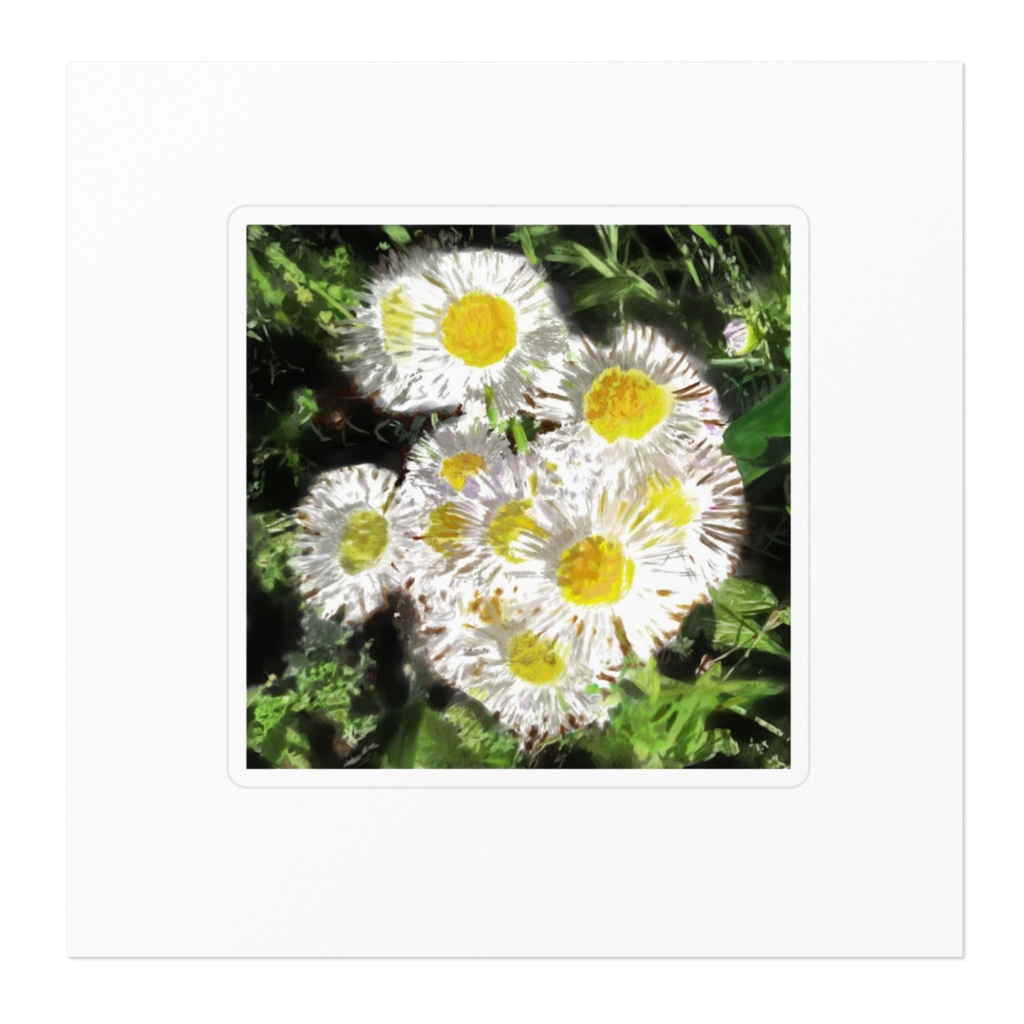 ハルジオンのステッカー