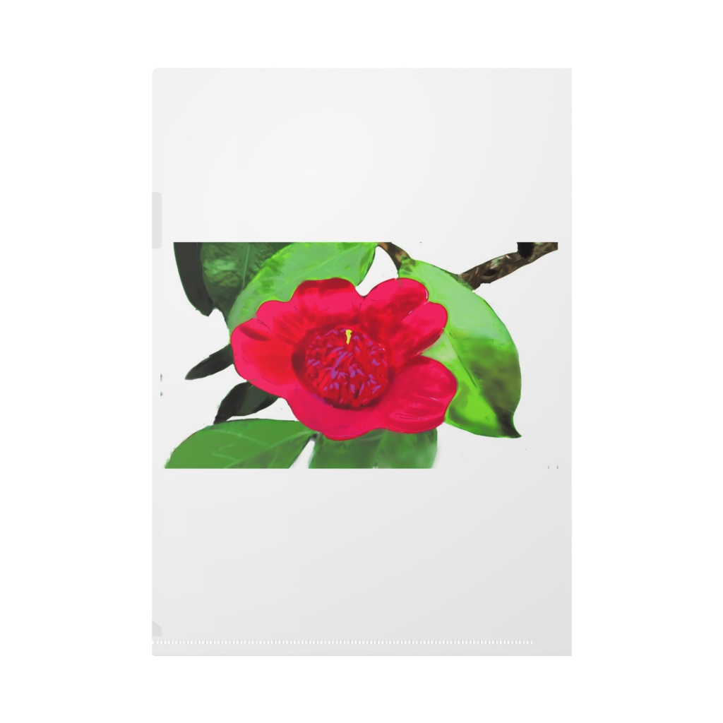 ハルジオンと椿のクリアファイル - A4