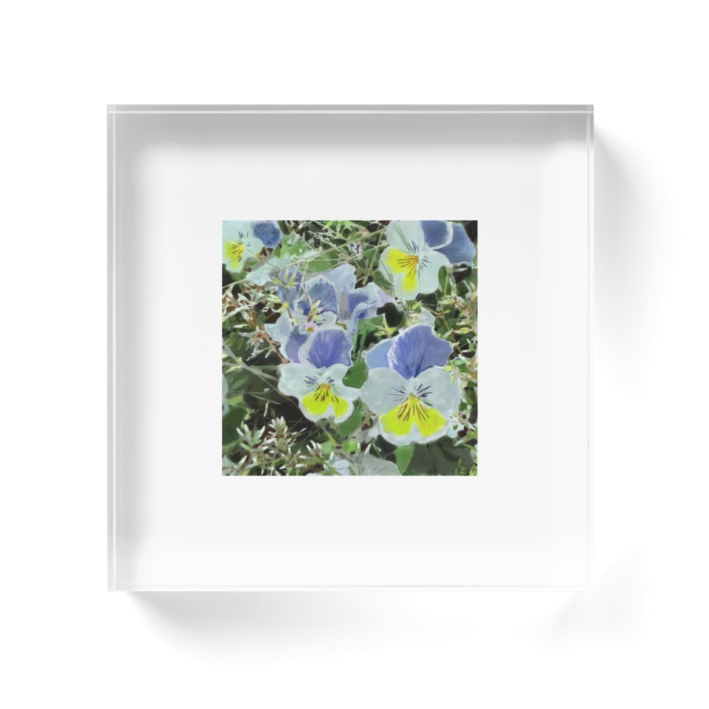 三色スミレのアクリルブロック