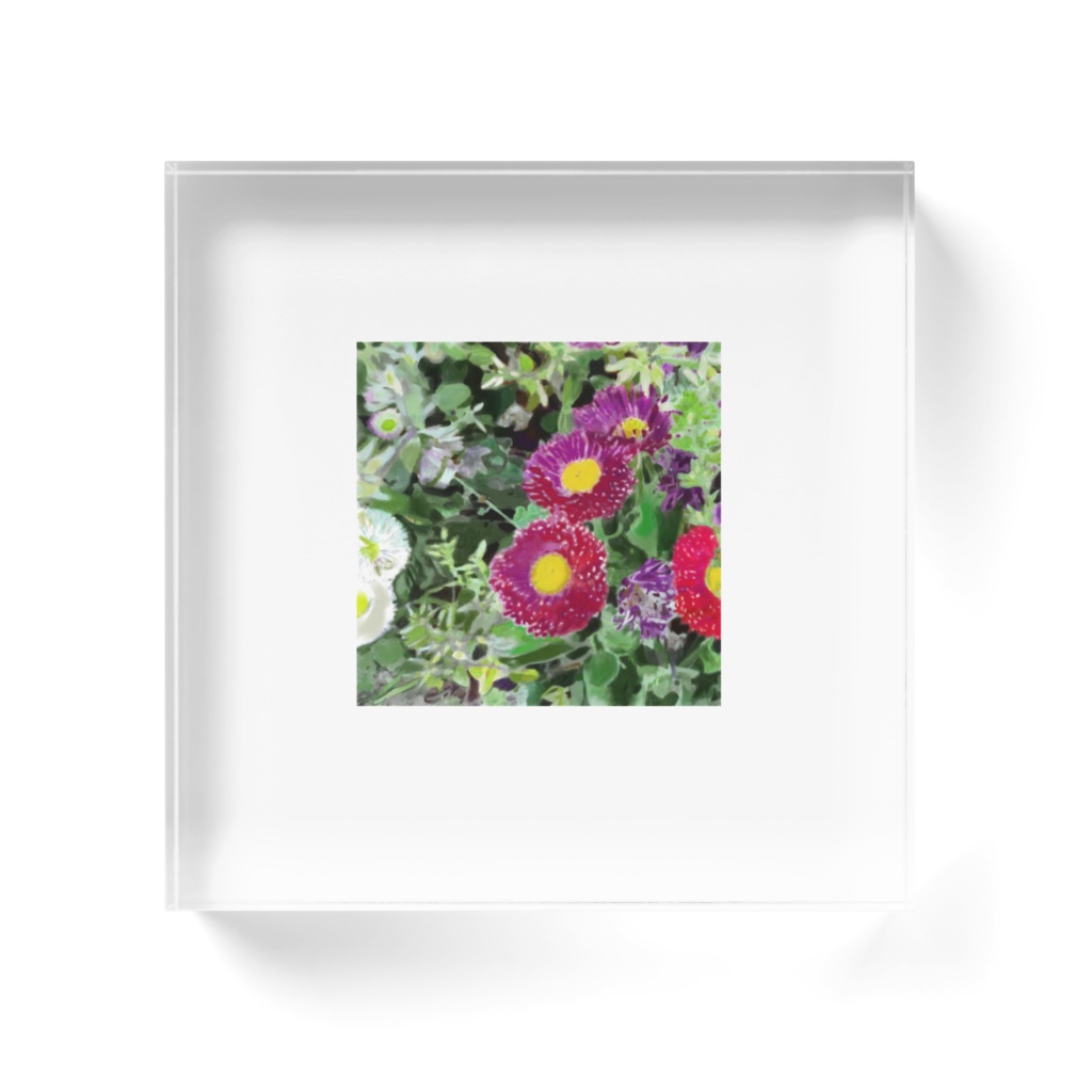 赤と白のマーガレットのアクリルブロック