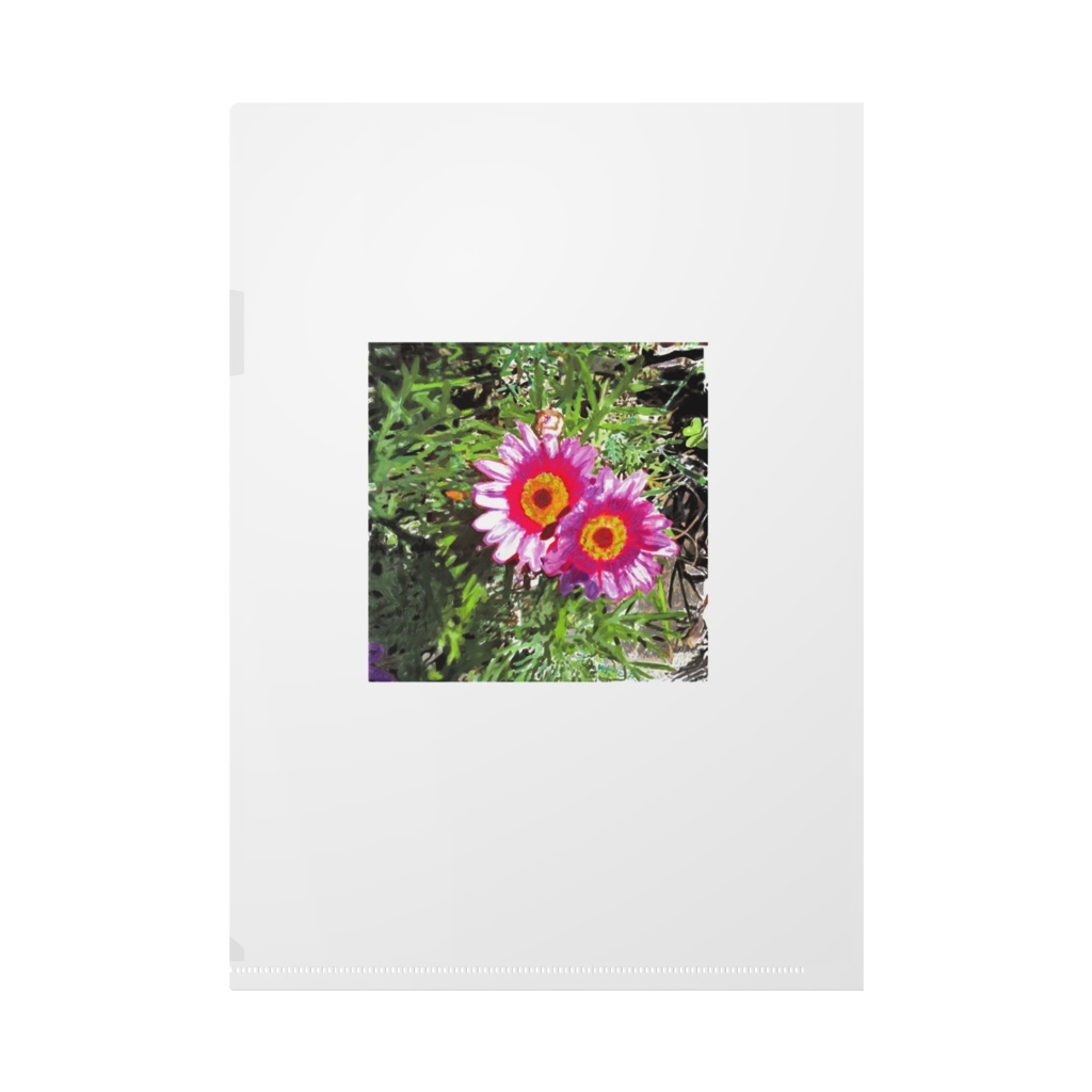 マーガレットとガーベラのクリアファイル