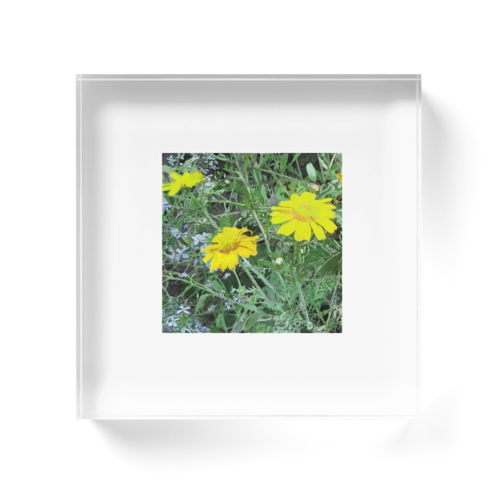 ダールベルグデージーのアクリルブロック