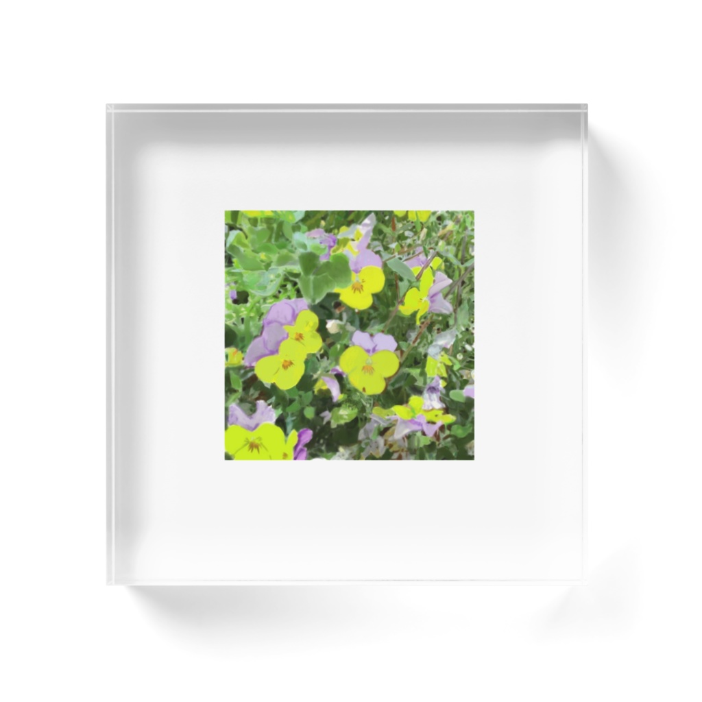 パンジー(紫と黄色)のアクリルブロック