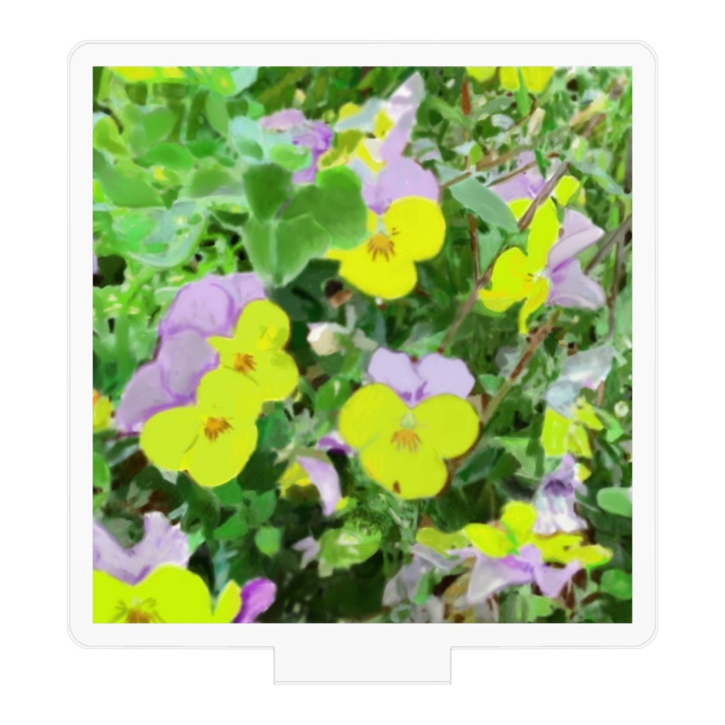 パンジー(紫と黄色)のアクリルフィギュア