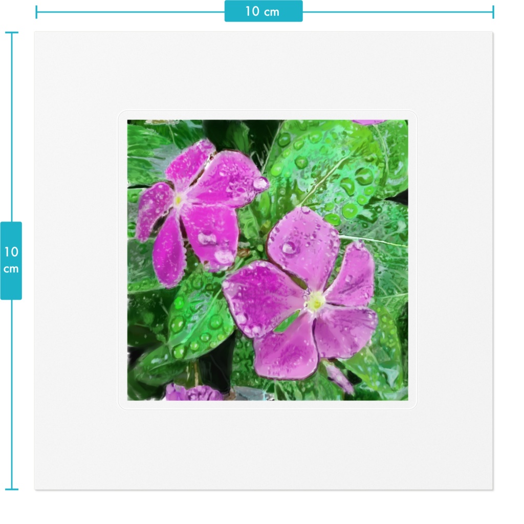 雨に濡れるニチニチソウのステッカー