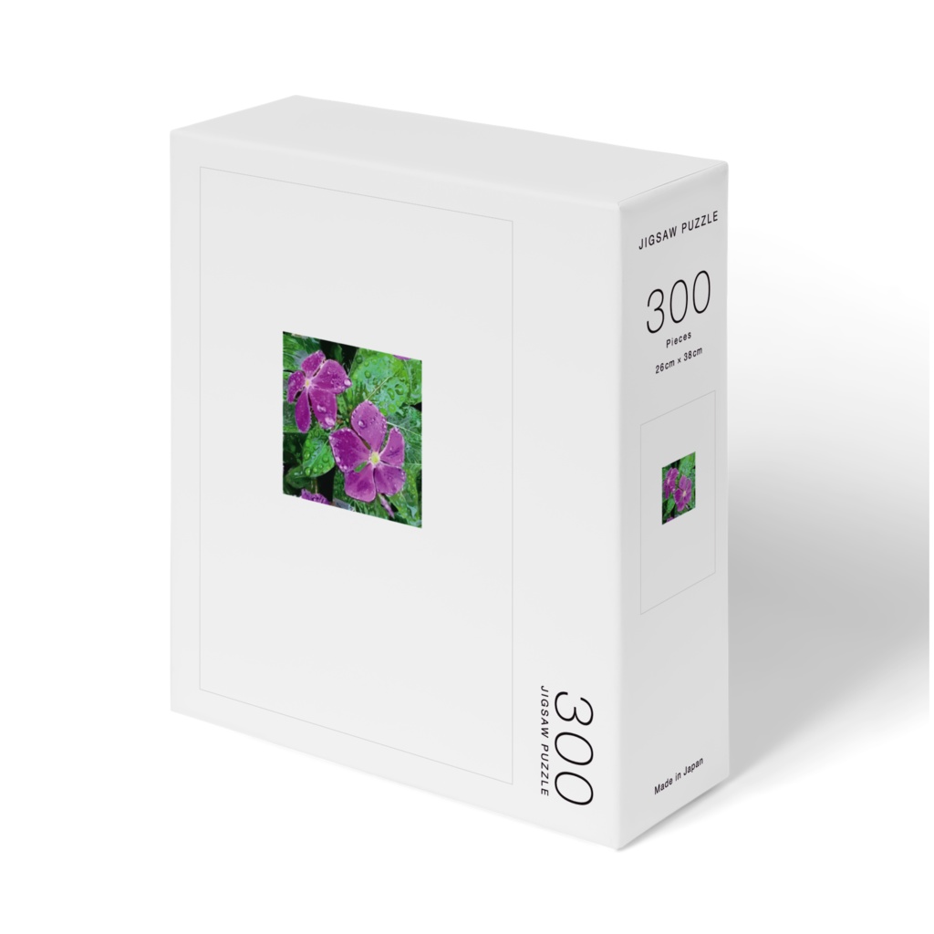 雨に濡れるニチニチソウのパズル