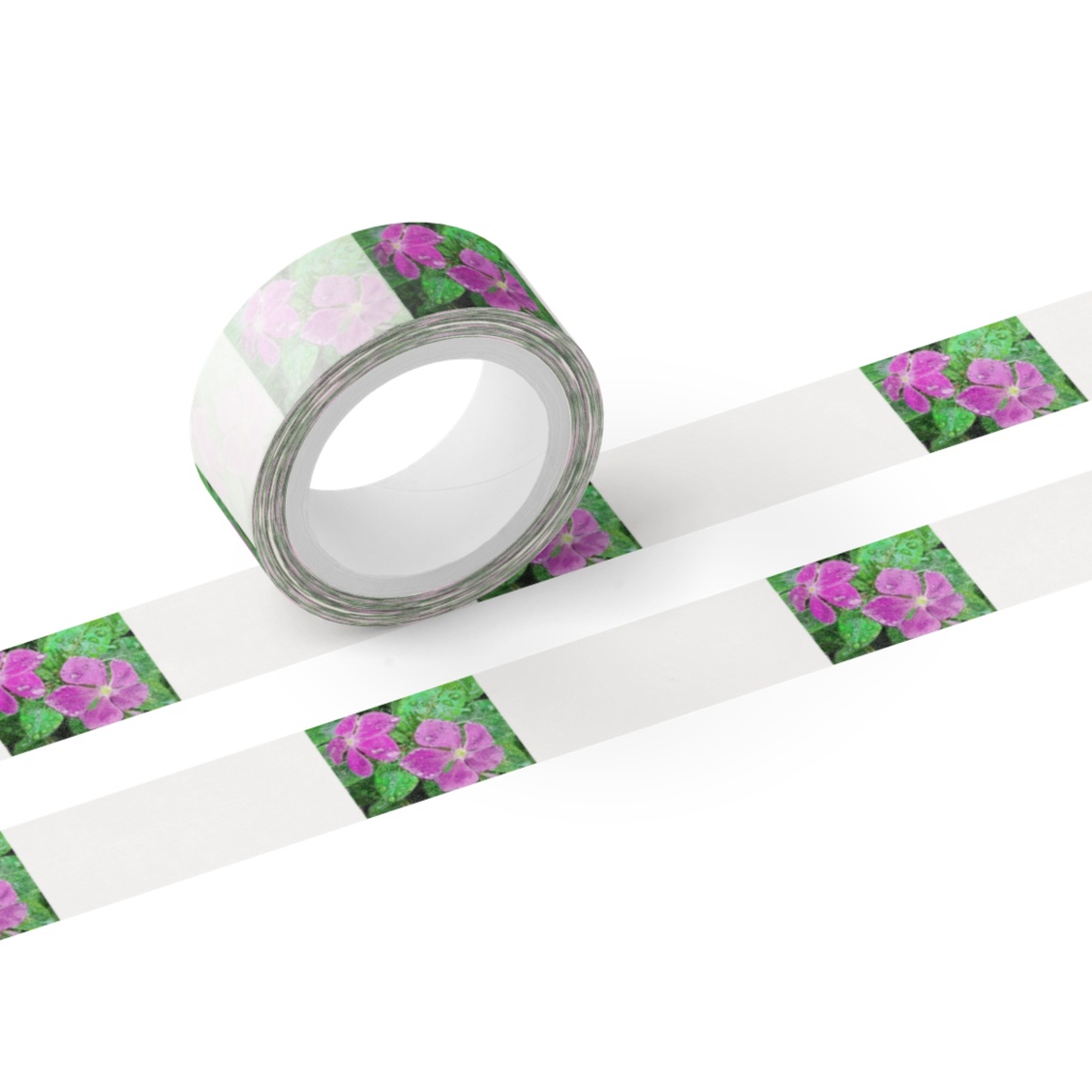 雨に濡れるニチニチソウのマスキングテープ