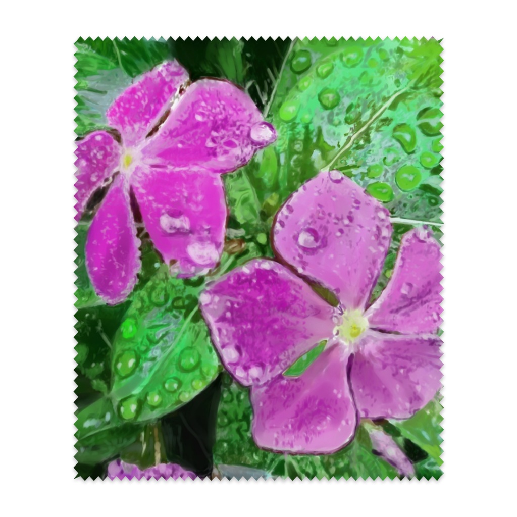 ニチニチソウの眼鏡拭き