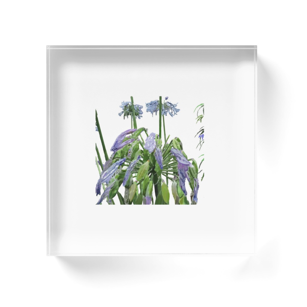 雨に濡れる紫君子欄のアクリルブロック