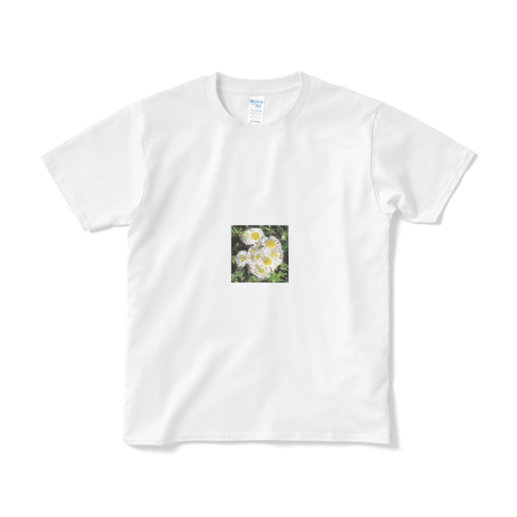 ハルジオンのtシャツ―ホワイト