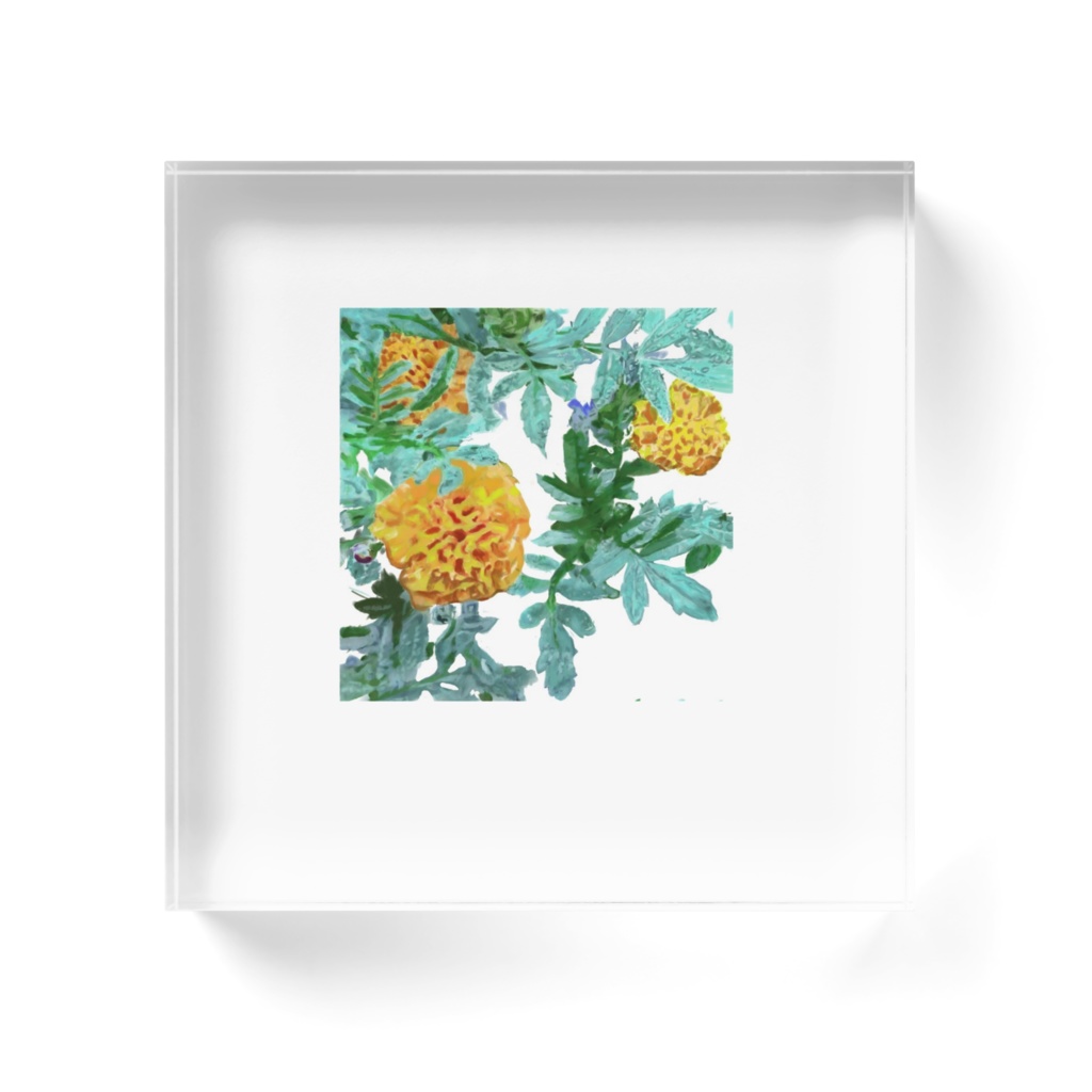 雨に濡れたマリーゴールド(千寿菊)のアクリルブロック