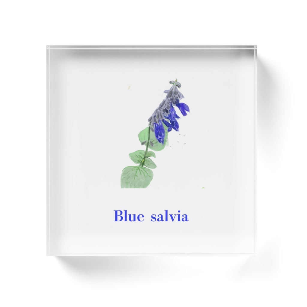 青いサルビアのアクリルブロック