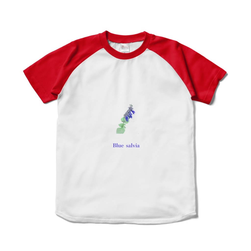 青いサルビアのラグランTシャツ -  ホワイト×レッド