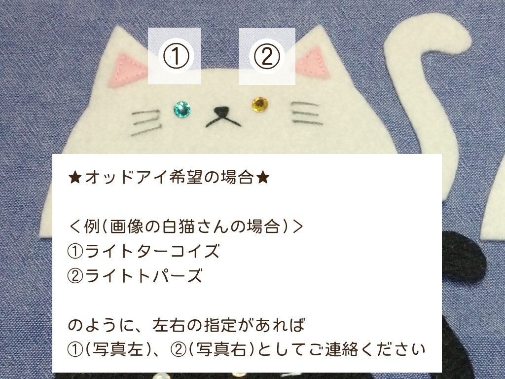 プルオーバーパーカー(DD)