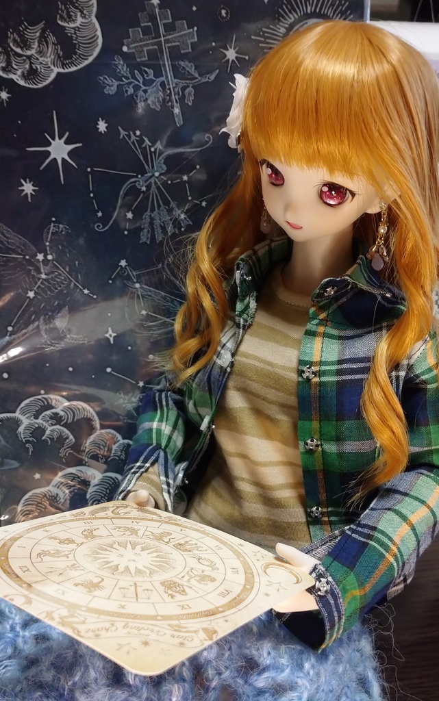 チェックシャツ(DD)