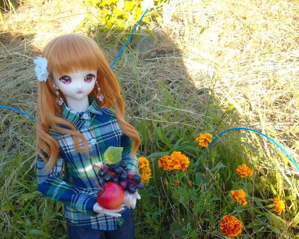 チェックシャツ(DD)