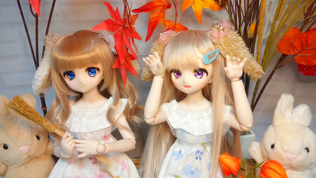 絵本うさぎのロップイヤー(3分の1ドール)