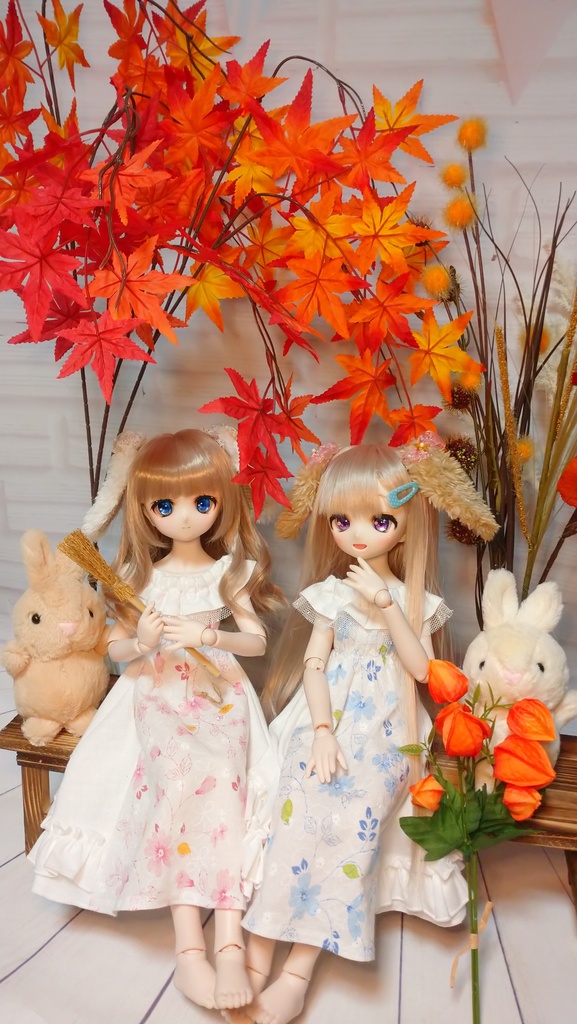 絵本うさぎのロップイヤー(3分の1ドール)