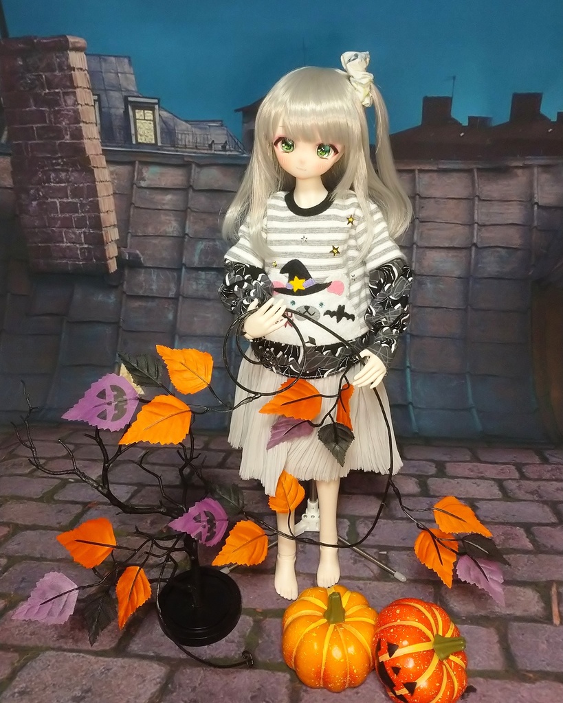 【販売終了】はろうぃんくまさん(MDD~DD)