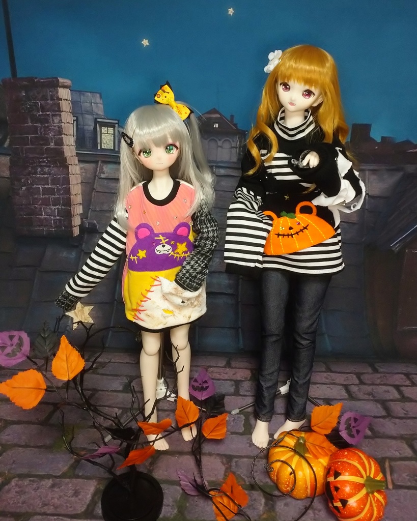 【販売終了】はろうぃんくまさん(MDD~DD)