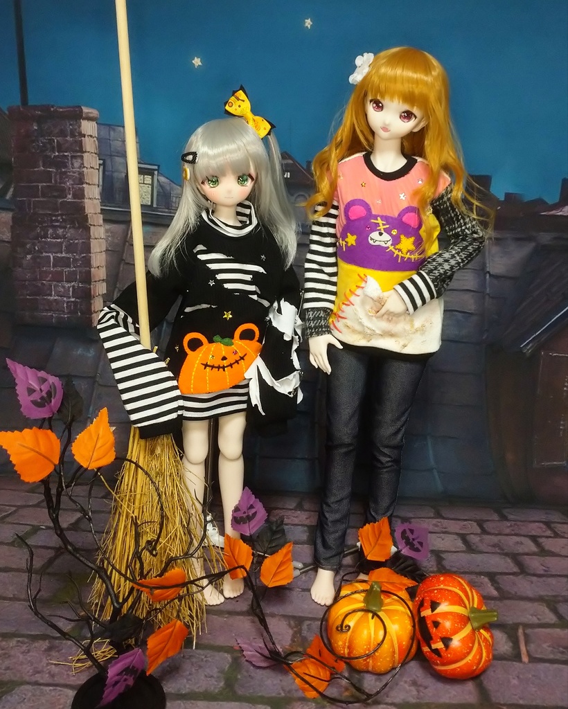 【販売終了】はろうぃんくまさん(MDD~DD)