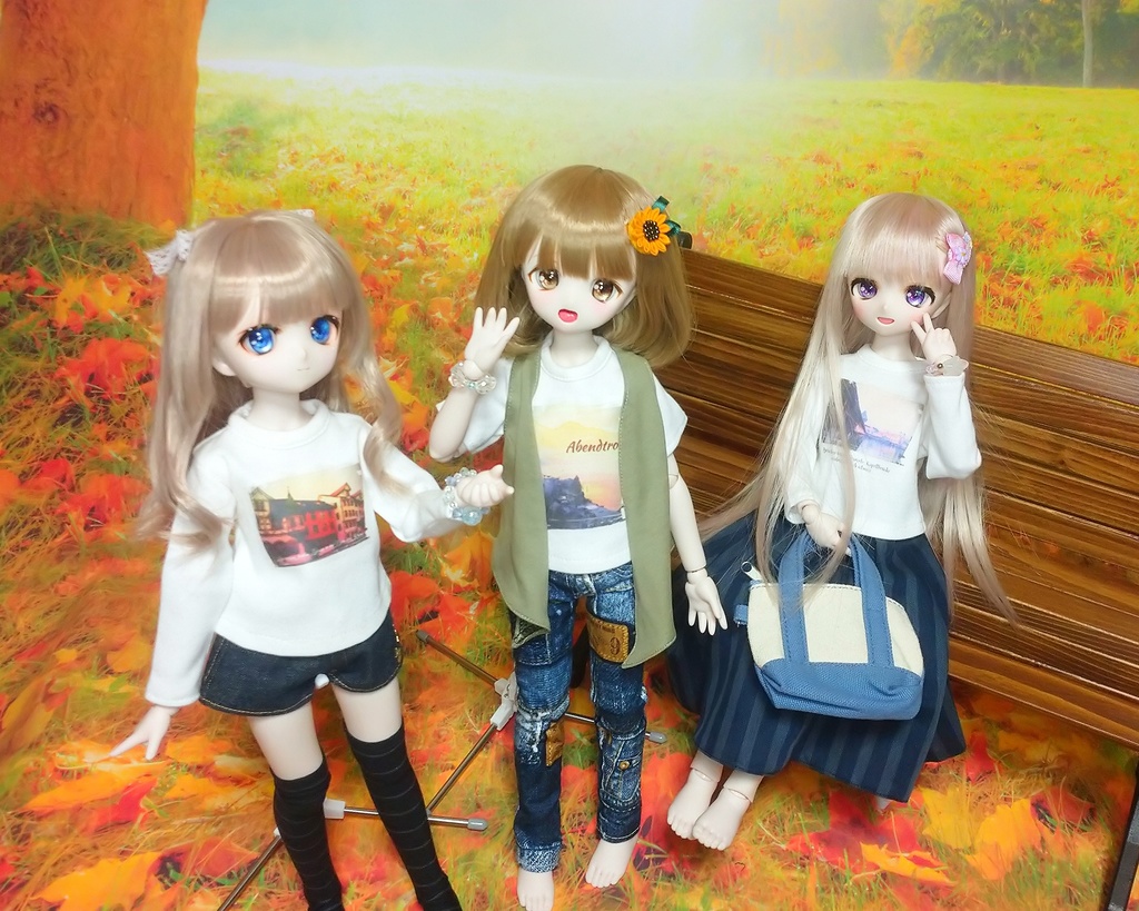 プリントTシャツ(MDD~DD)