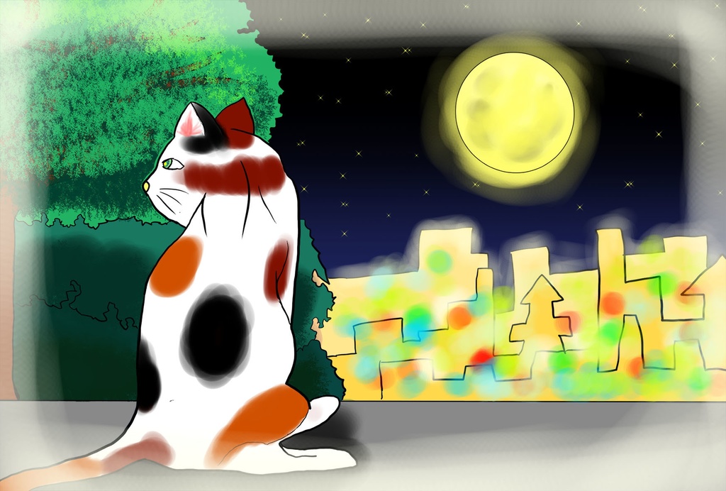 夜に潜む三毛猫