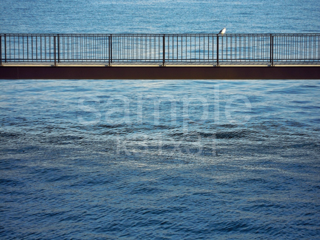 写真作品『小休止』(デジタルデータ)