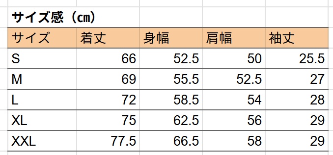 【~6/30受注生産】山城ビックシルエットT