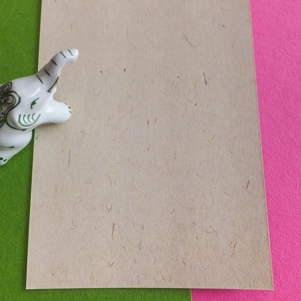 ポストカード 花開く