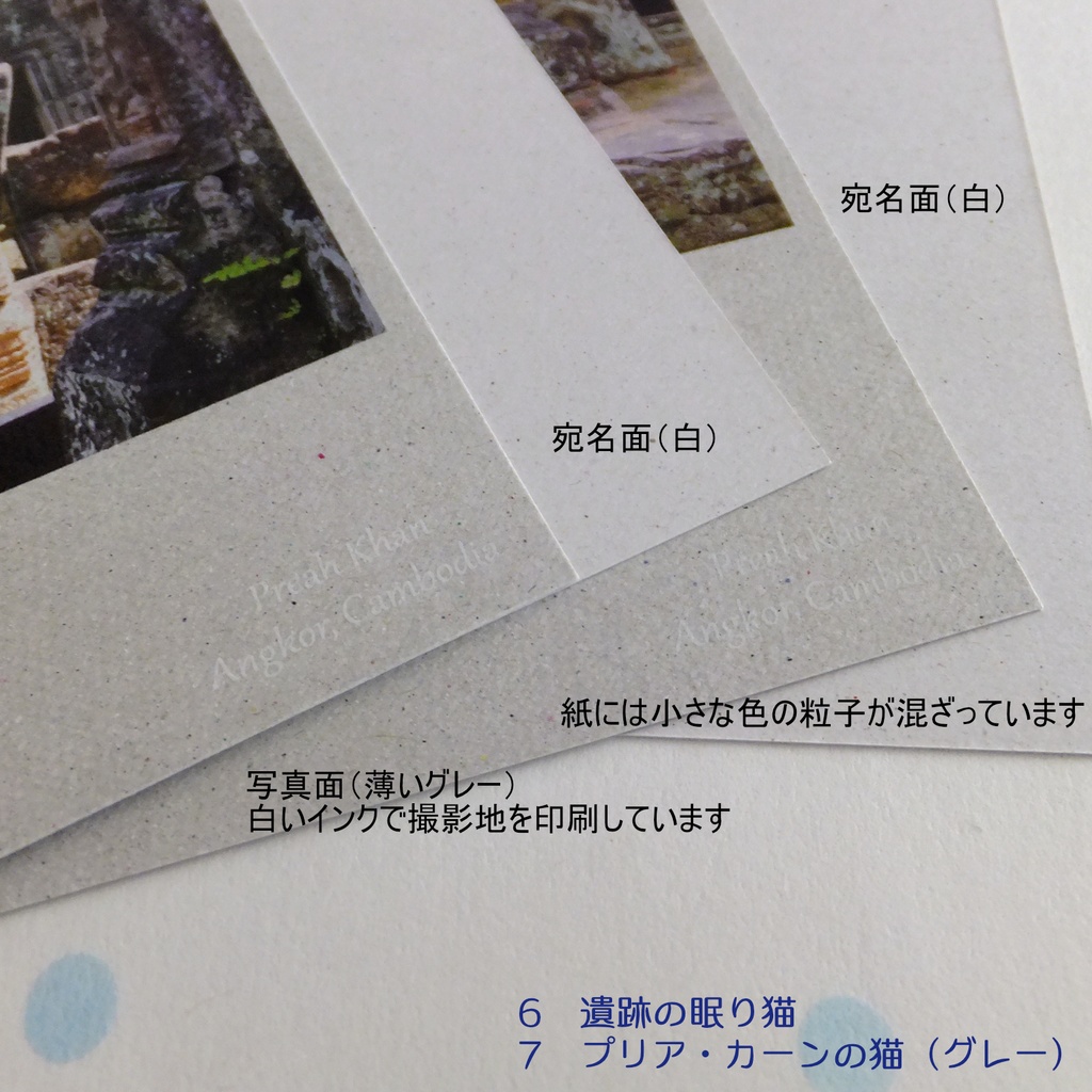 寺院・遺跡の猫 ポストカード