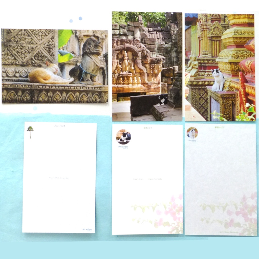 寺院・遺跡の猫 ポストカード