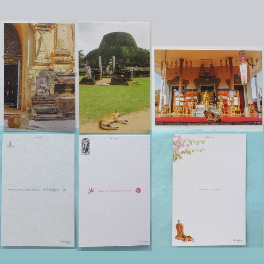 寺院・遺跡の犬 ポストカード