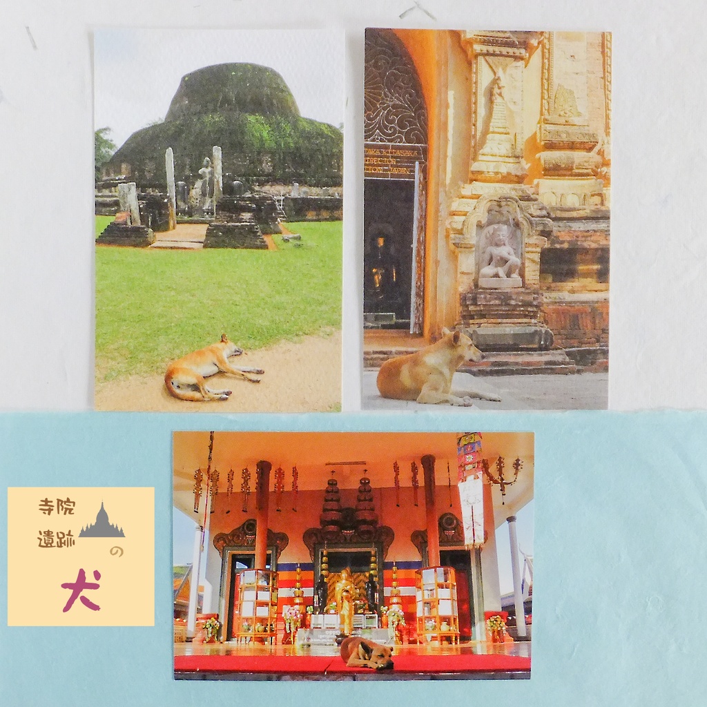 寺院・遺跡の犬 ポストカード