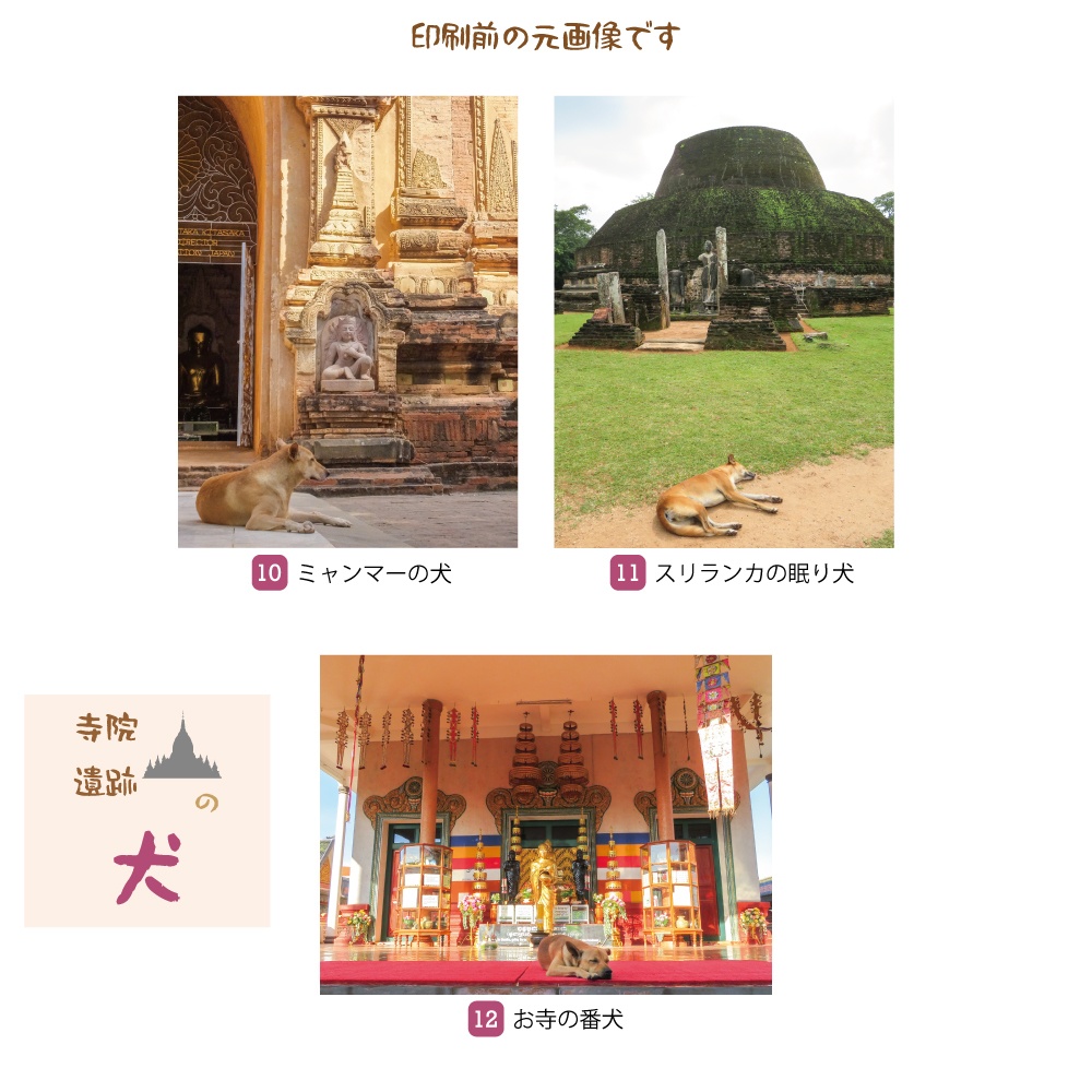 寺院・遺跡の犬 ポストカード